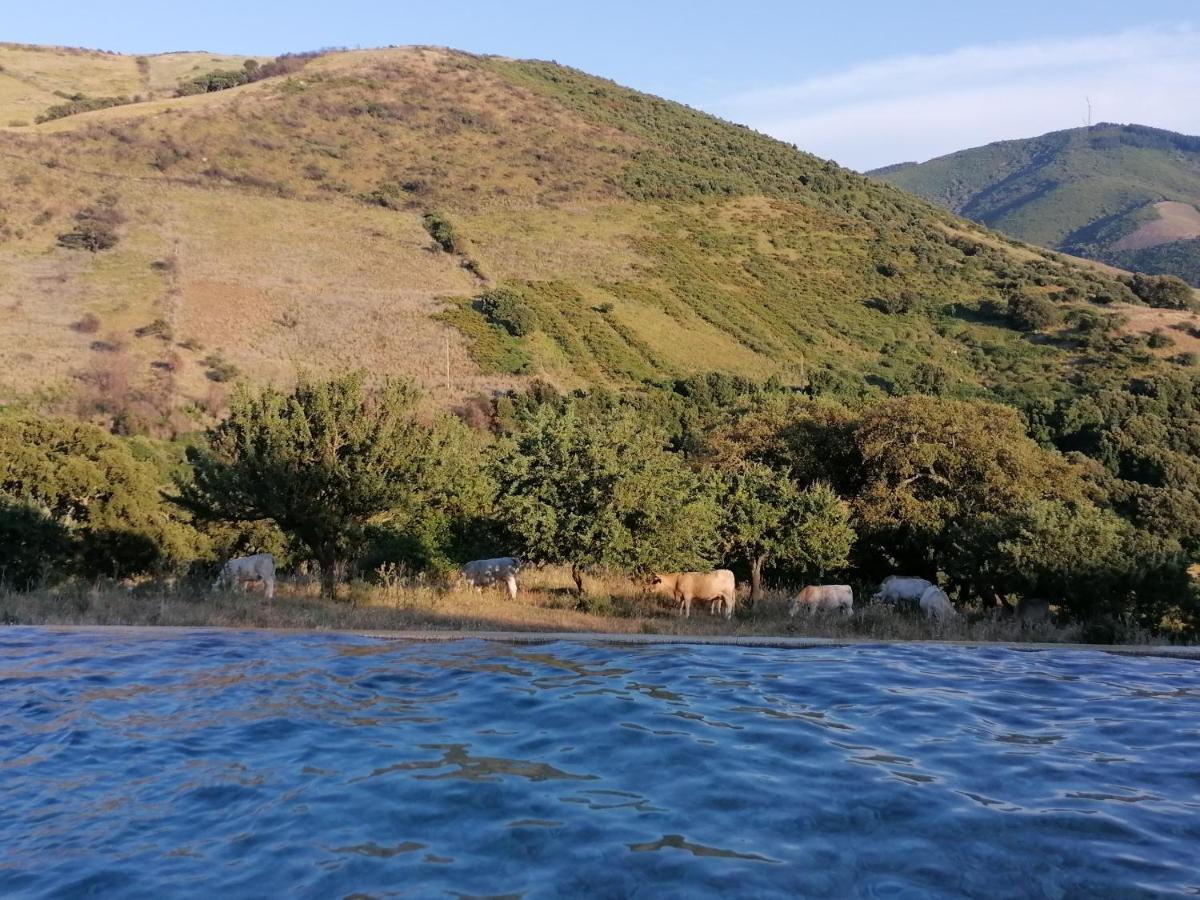 Stazzu Coiga Villa Aggius Luaran gambar