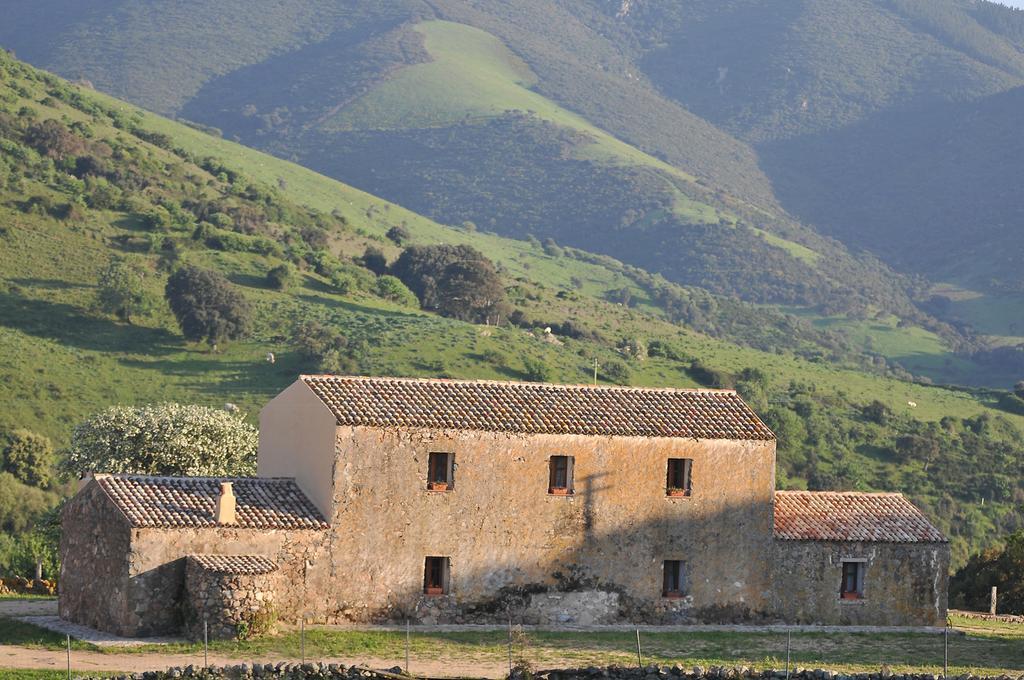 Stazzu Coiga Villa Aggius Luaran gambar